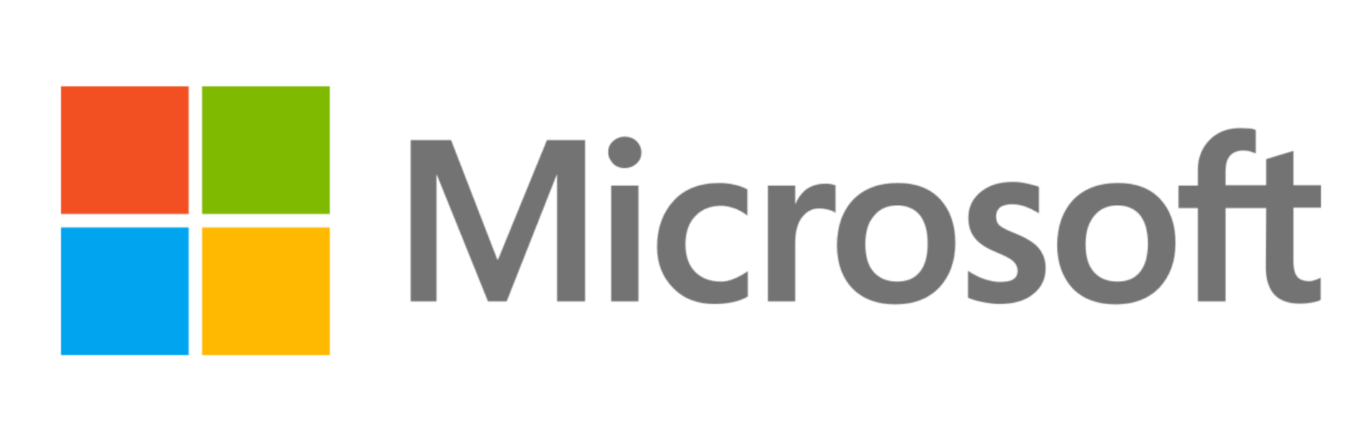 Microsoft Partners